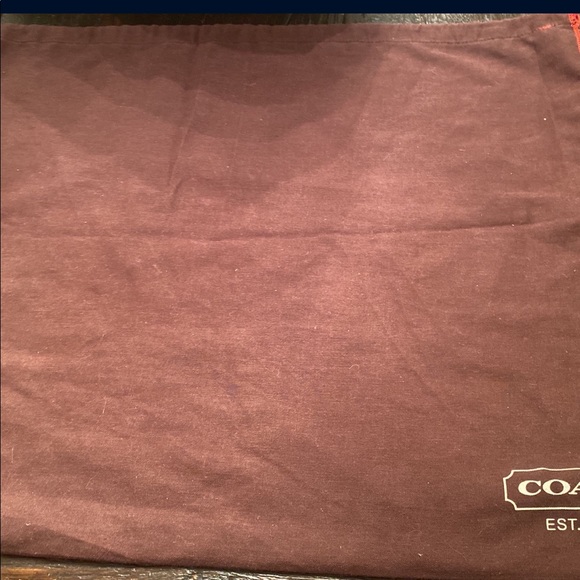 Large Coach Hobo Bag - Picture 4 of 6